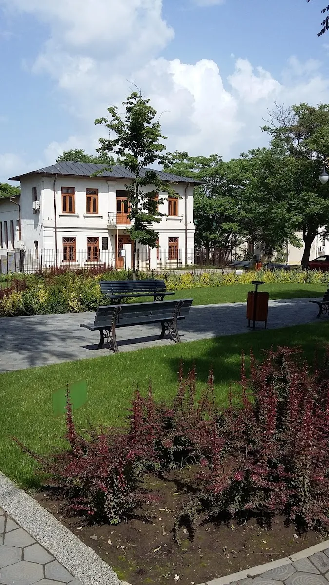 Sinagoga Merarilor de Iași — foto 5