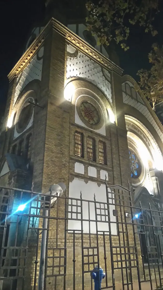 Sinagoga u Novom Sadu — foto 7