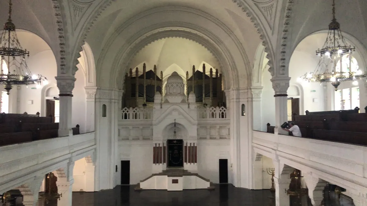 Sinagoga u Novom Sadu — foto 9