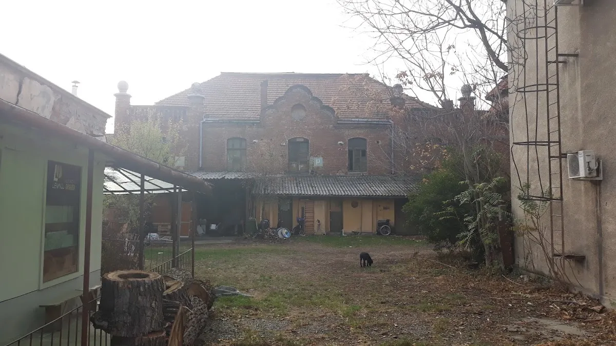 Sinagoga Viznitz de Oradea — photo 7