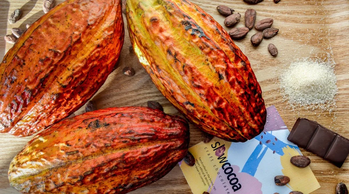 slowcocoa craft chocolate