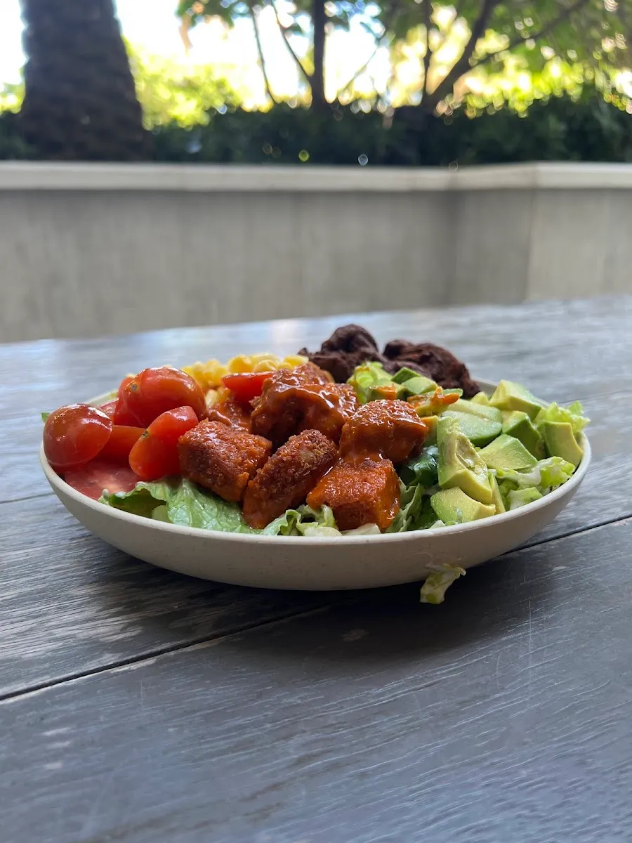 SoBe Vegan — photo 4
