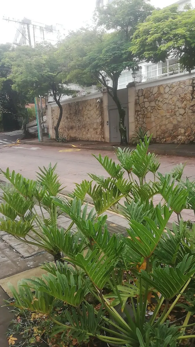 Sociedad Hebrea de Socorros