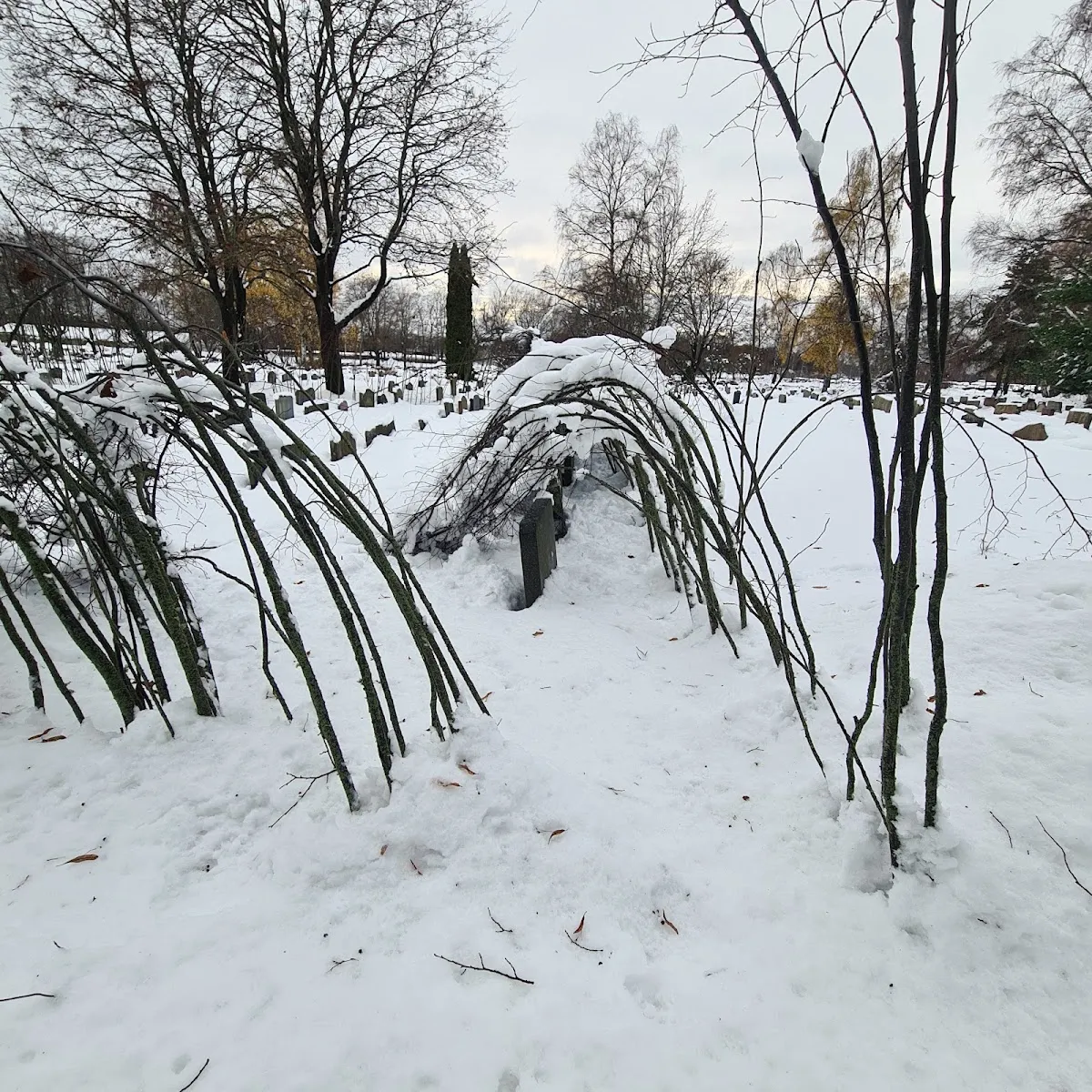 Södra judiska begravningsplatsen — foto 3