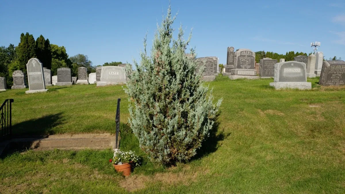 Sons of Jacob and Sons of Moses Cemeteries — foto 7
