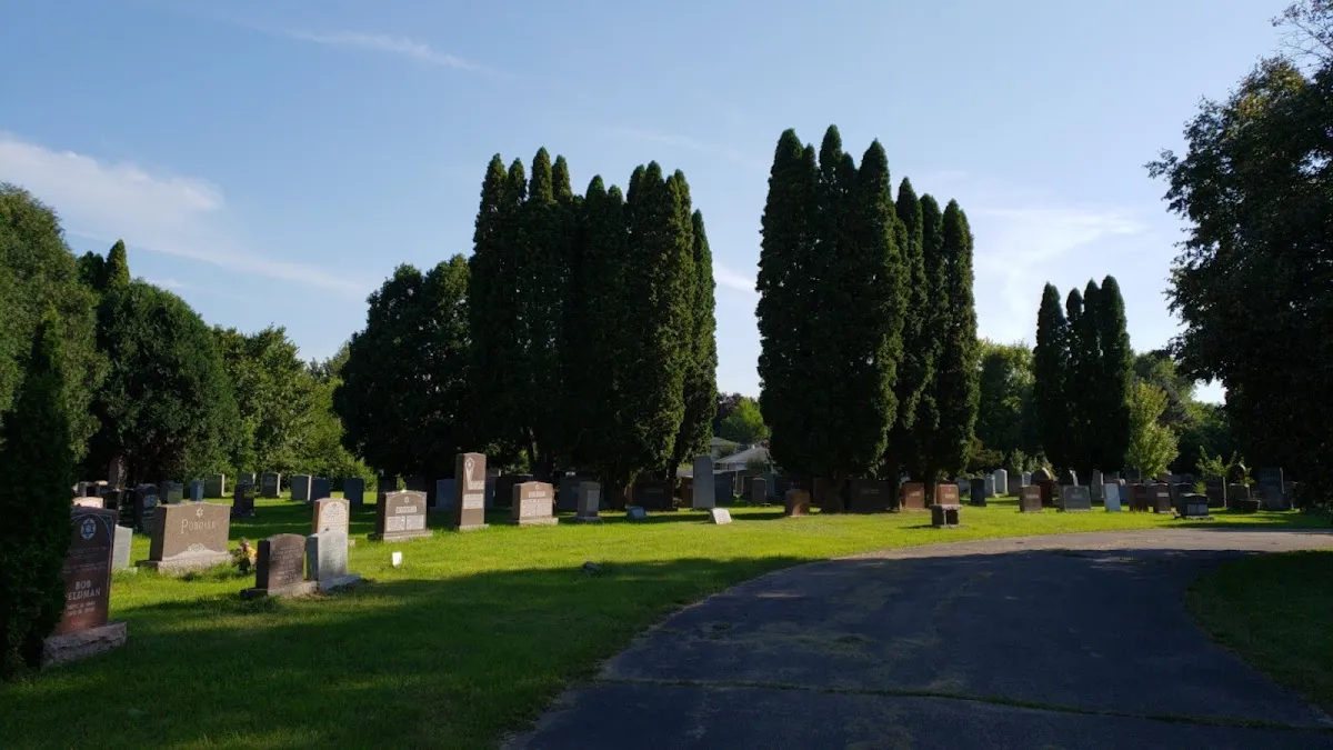 Sons of Jacob and Sons of Moses Cemeteries — foto 8