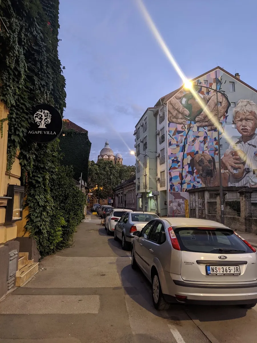 Stara jevrejska škola (Jevrejska opština Novi Sad) — photo 9