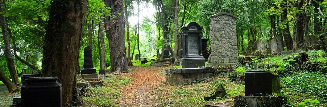 Stary cmentarz żydowski w Przemyślu — foto 5