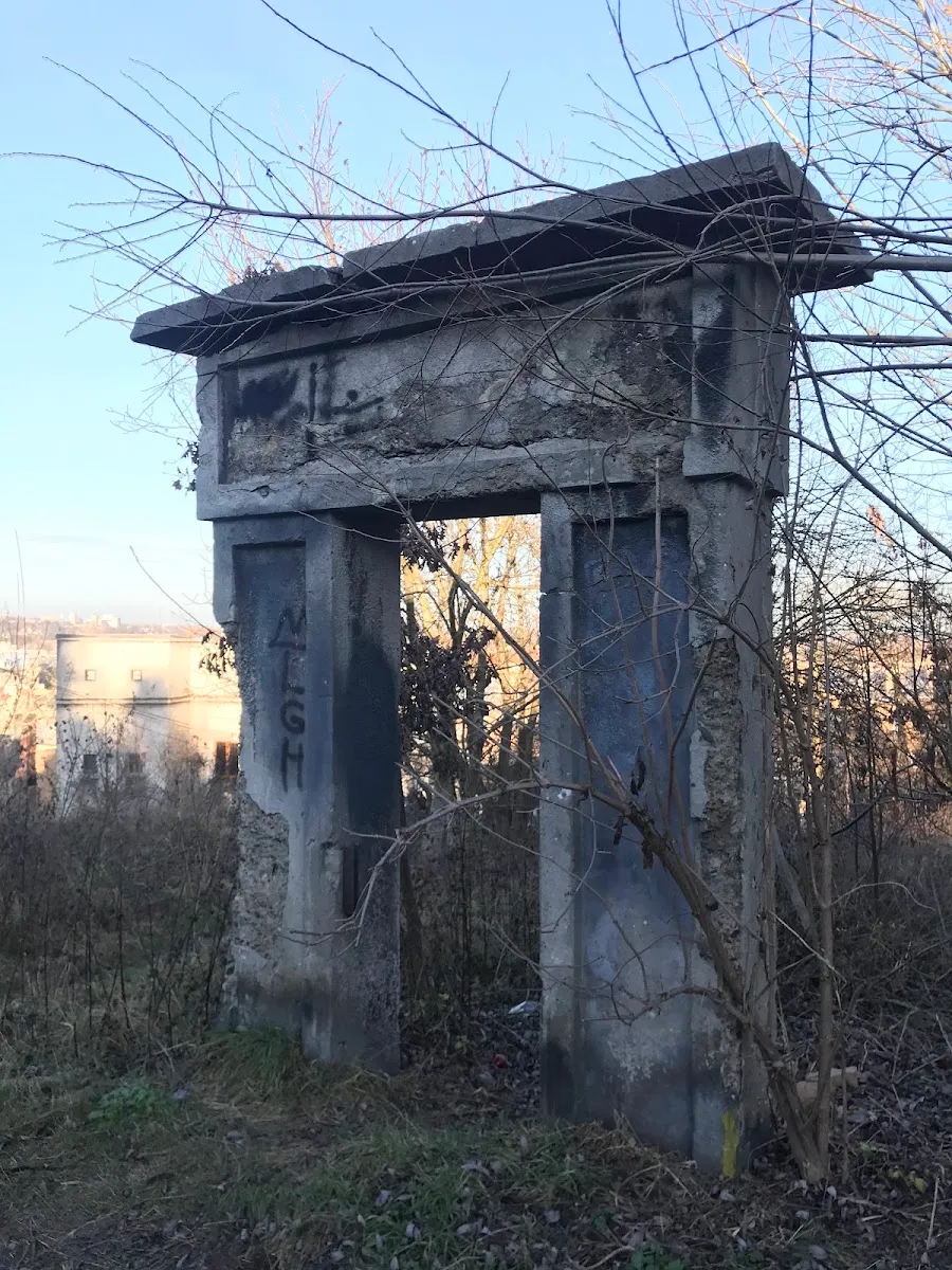 Stary cmentarz żydowski w Przemyślu — foto 7