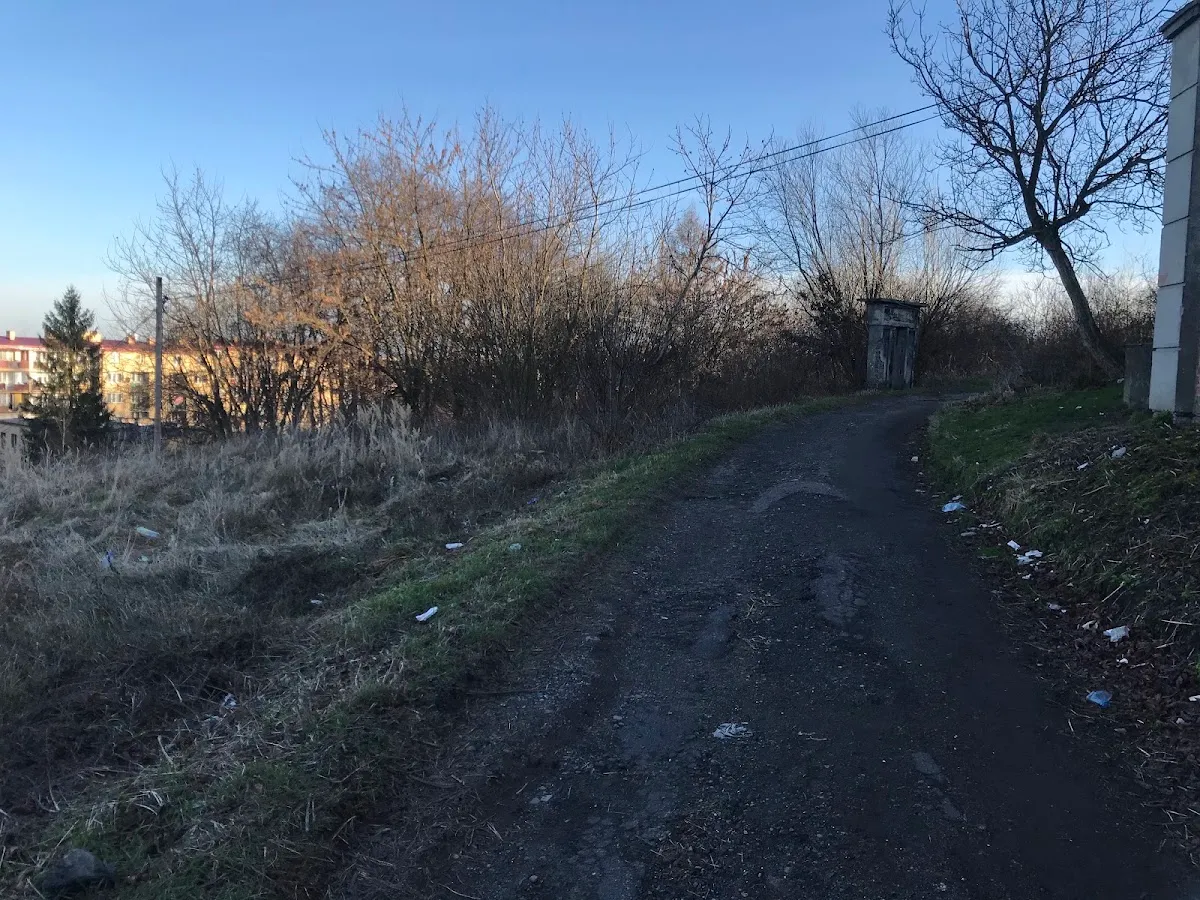 Stary cmentarz żydowski w Przemyślu — foto 8