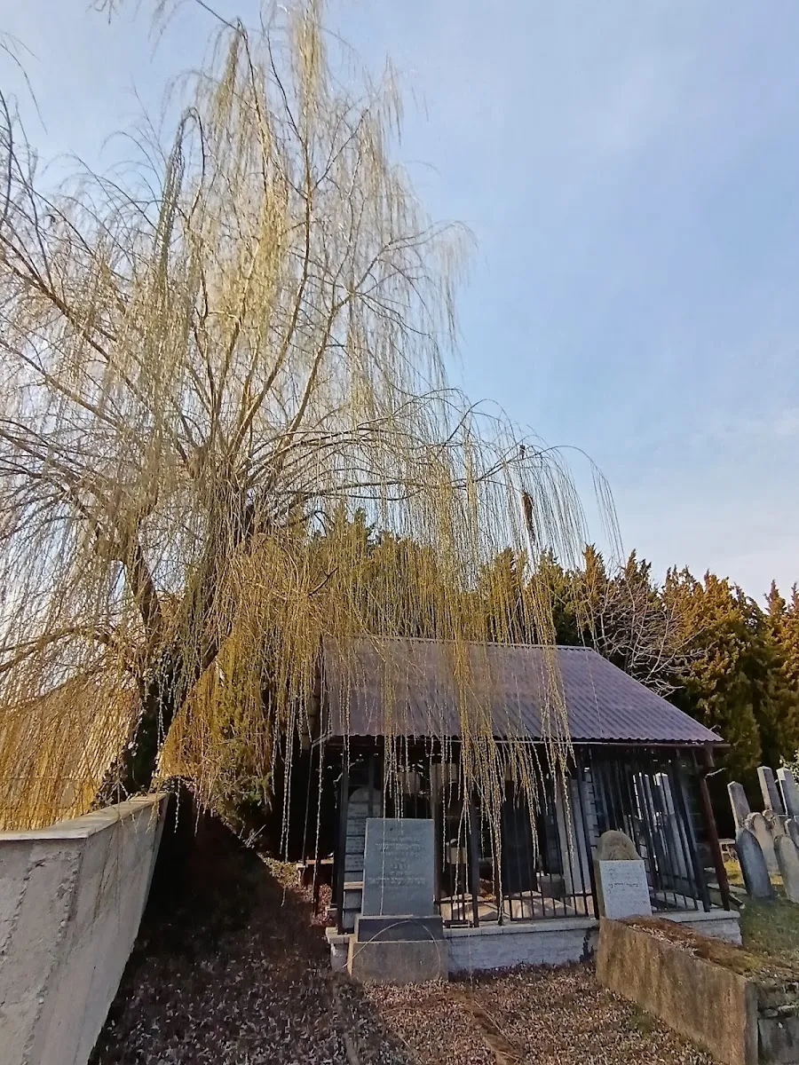 Starý židovský cintorín Piešťany — foto 10