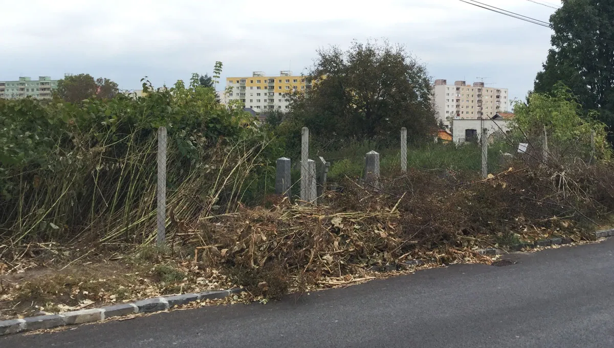 Starý židovský cintorín Lučenec — foto 7