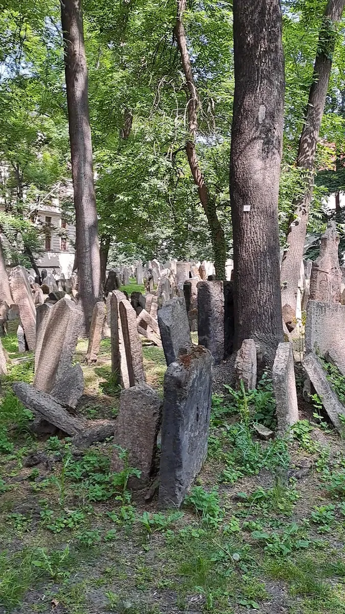 Starý židovský hřbitov — photo 3