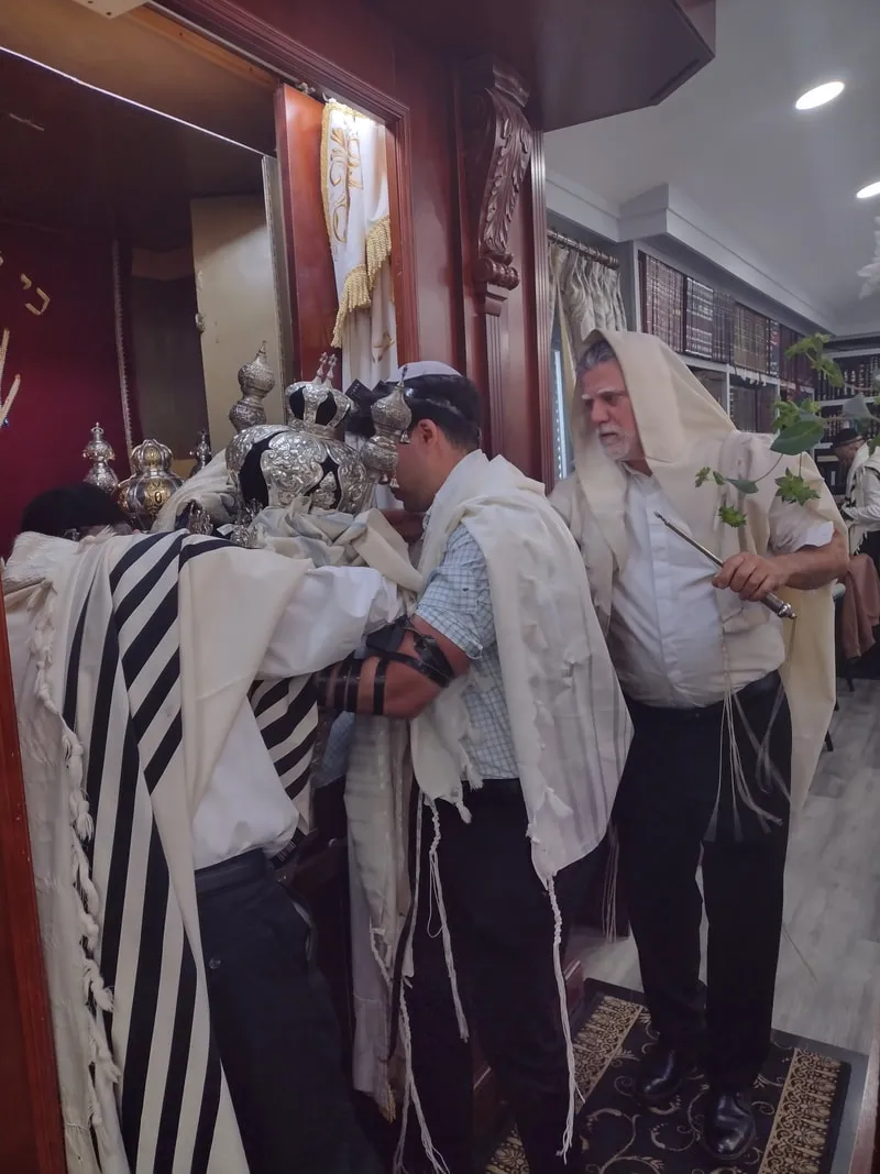 Staten Island Tov — photo 6