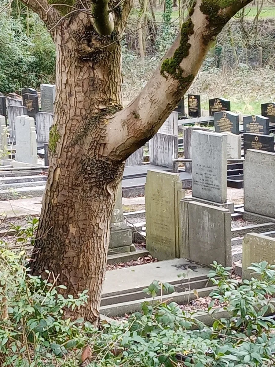 Stoke-on-Trent Synagogue — photo 7