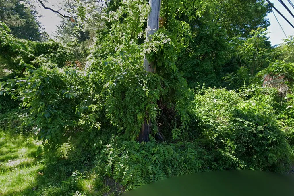 Stony Brook Hillel — foto 2