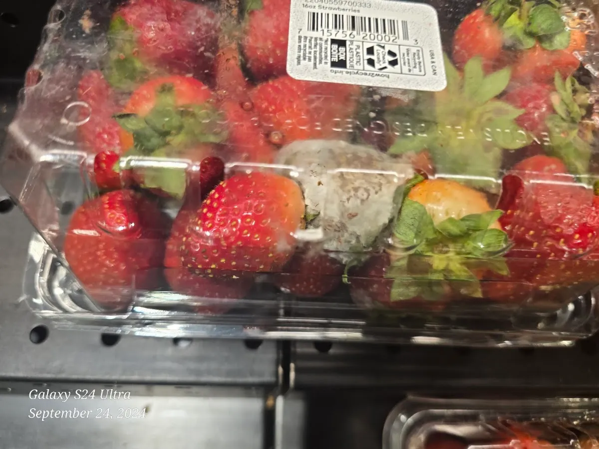 Stop & Shop — photo 5