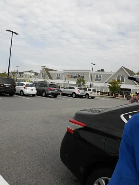 Stop & Shop Bakery (Wayland) — photo 8