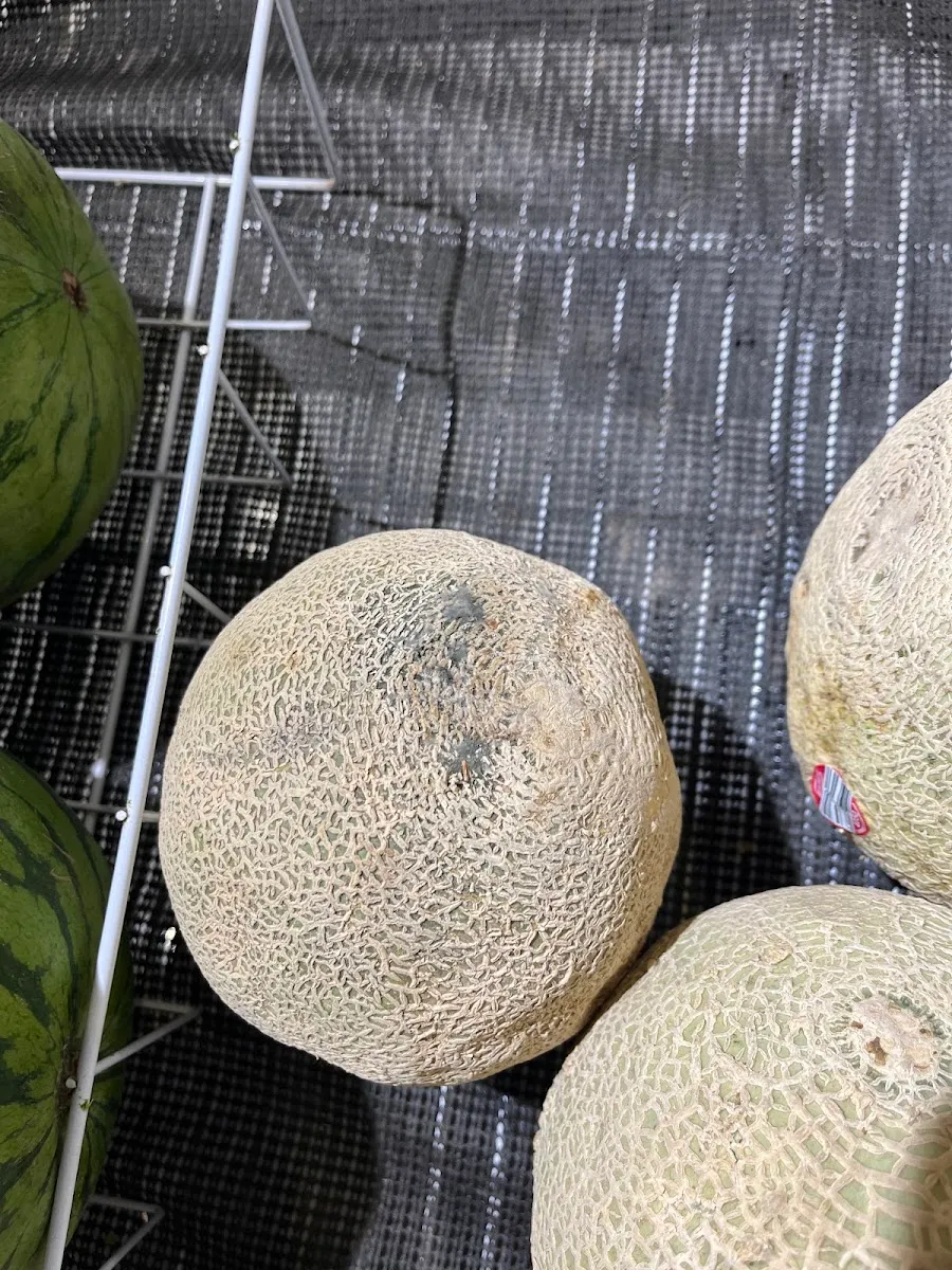 Stop & Shop Bakery (Wayland) — photo 10