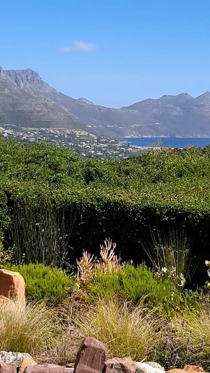 Suikerbossie Restaurant & Estate — photo 3