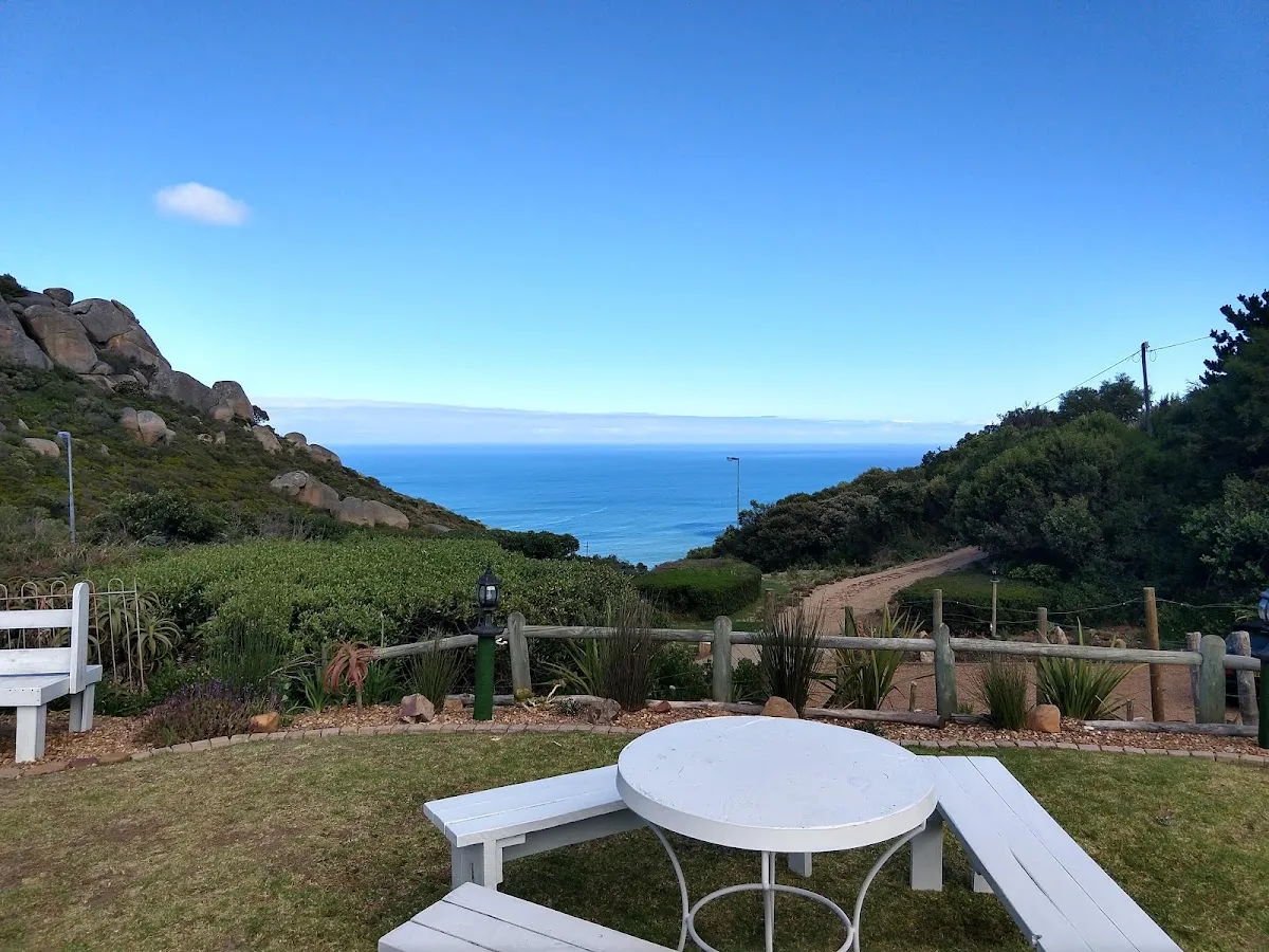 Suikerbossie Restaurant & Estate — photo 7