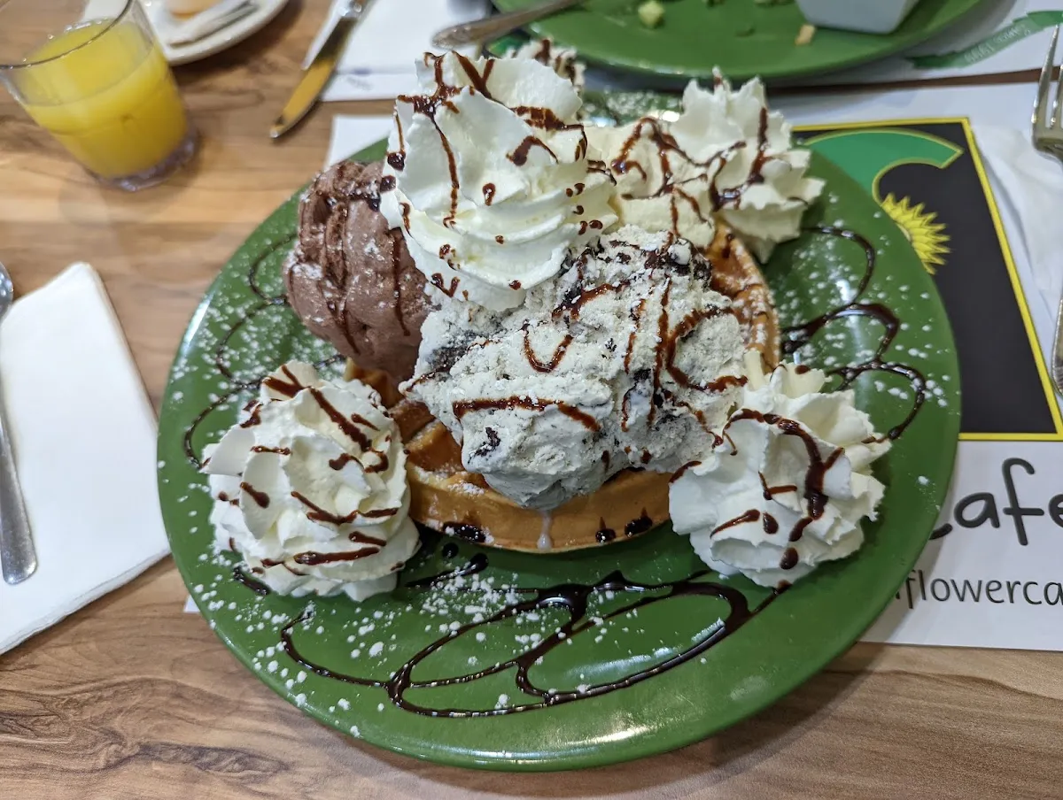 Sunflower Cafe — photo 3