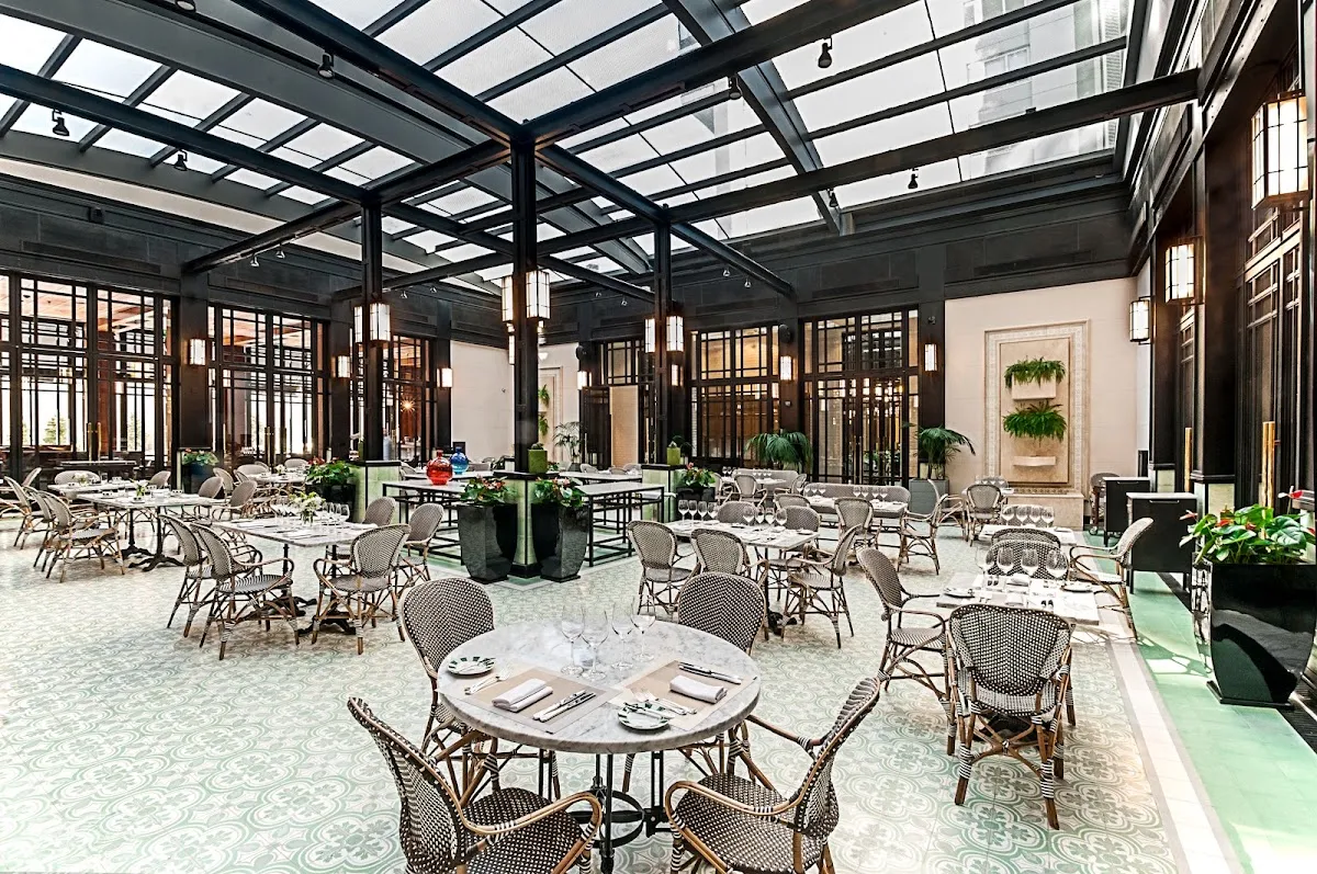 Sunny Yard — Alvear Icon