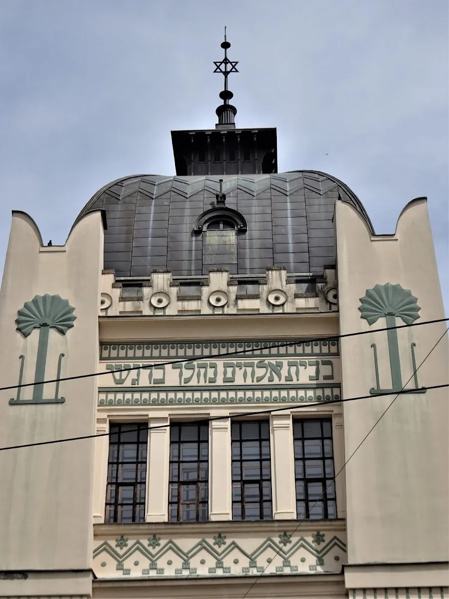 Synagoga Hradec Králové — foto 5