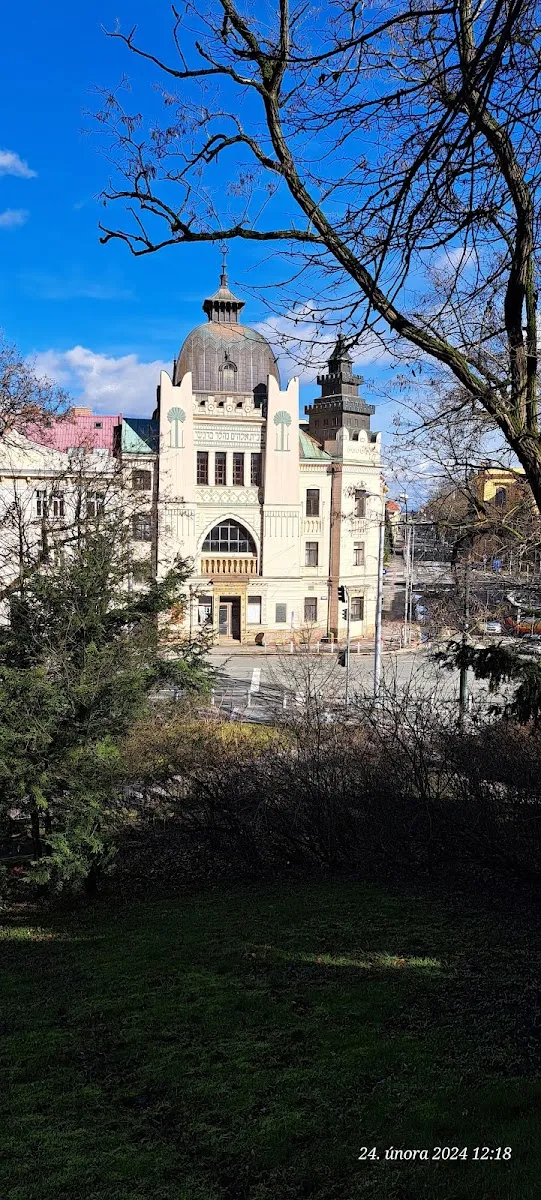 Synagoga Hradec Králové — foto 7