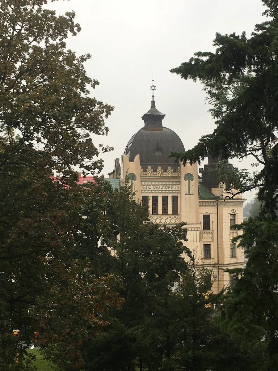 Synagoga Hradec Králové — foto 8