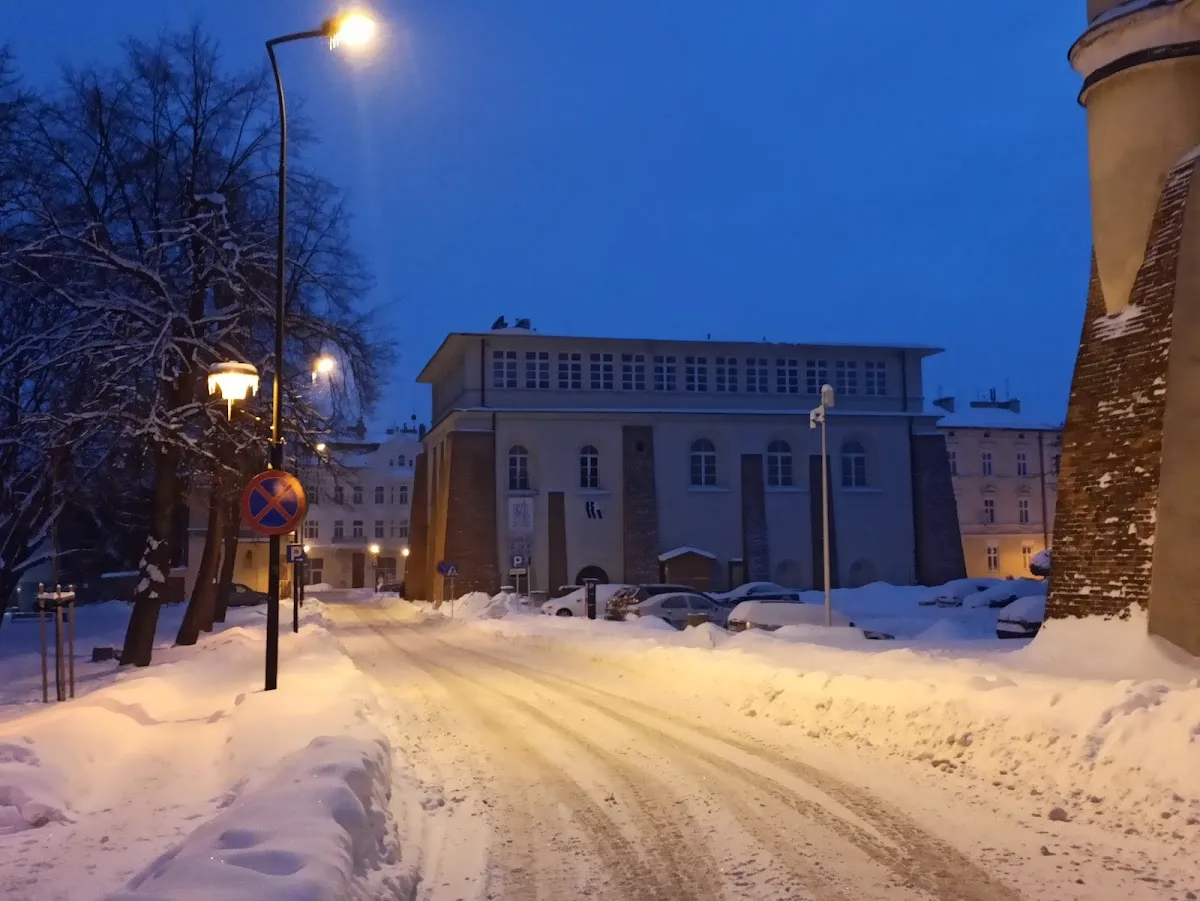Synagoga Nowomiejska w Rzeszowie — foto 8