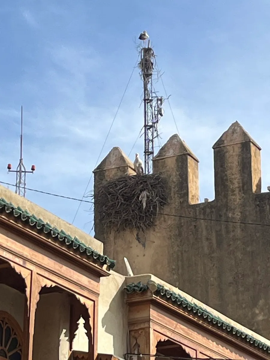 Synagogue Al Fassiyine — foto 5