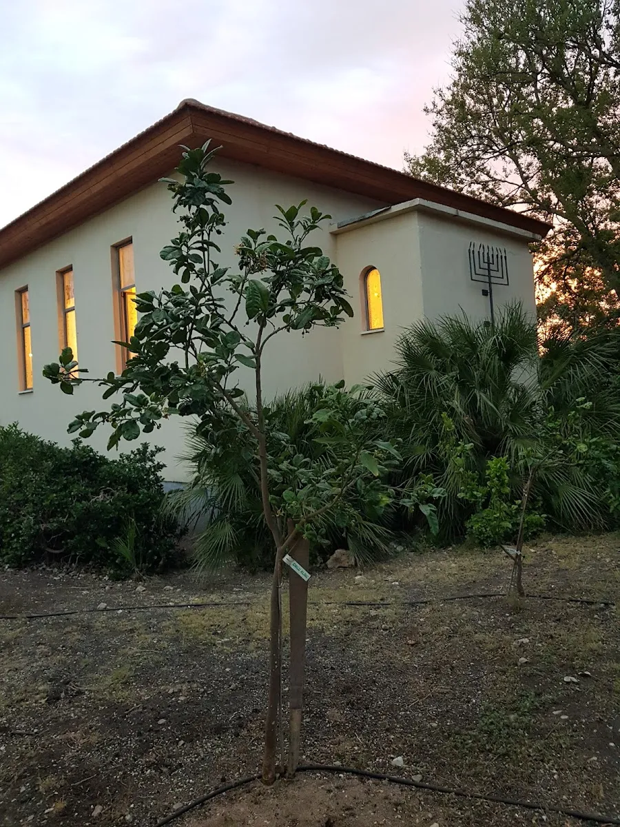 Synagogue (Shavei Tzion) — foto 6