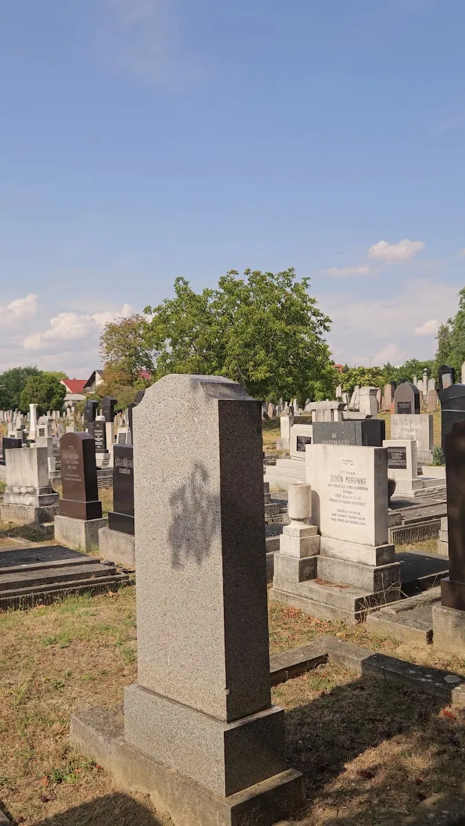 Székesfehérvári izraelita temető — foto 3
