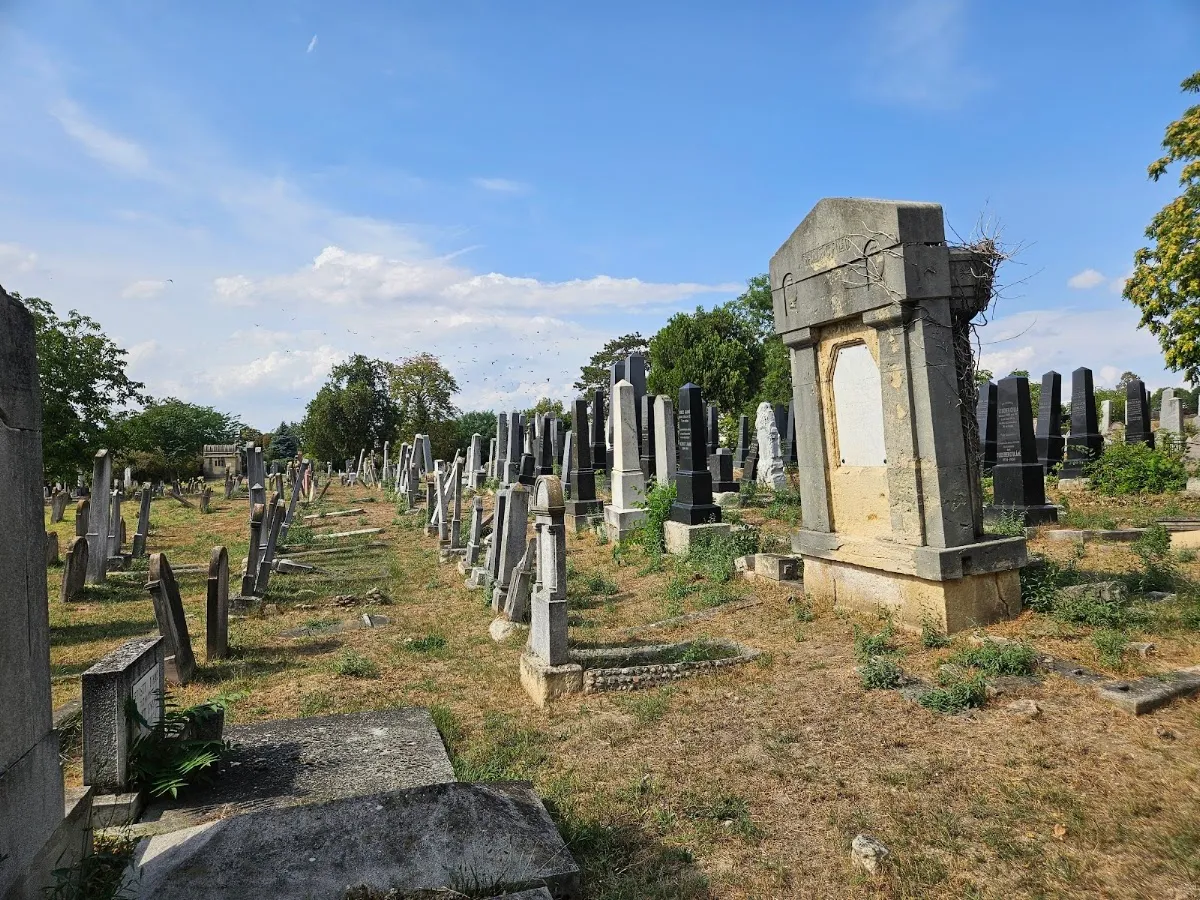 Székesfehérvári izraelita temető — foto 5