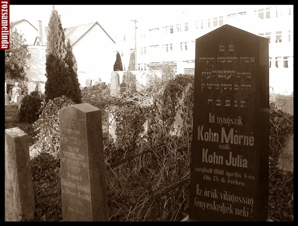 Szombathelyi zsidó temető — photo 8