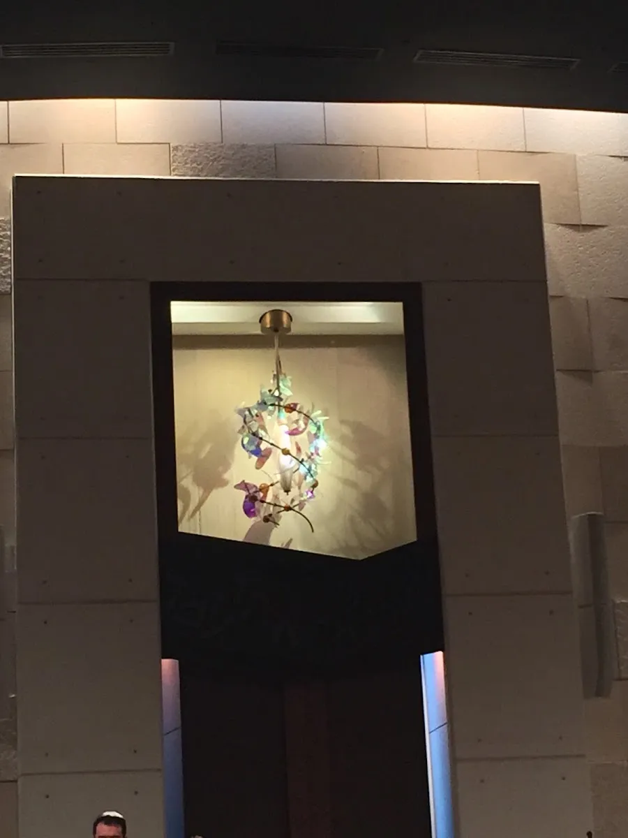 Temple Beth Am de Pinecrest — foto 7