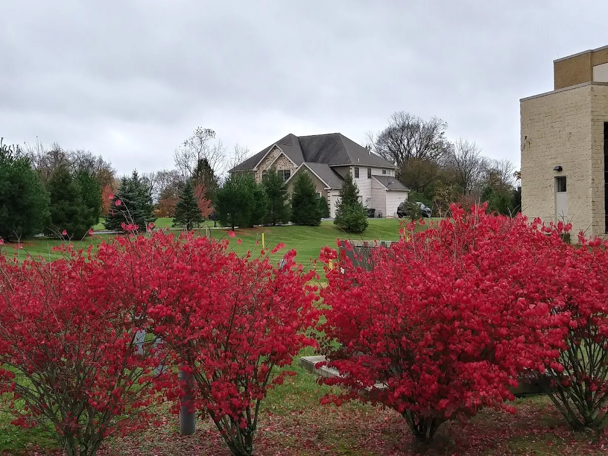 Temple Beth El — photo 4