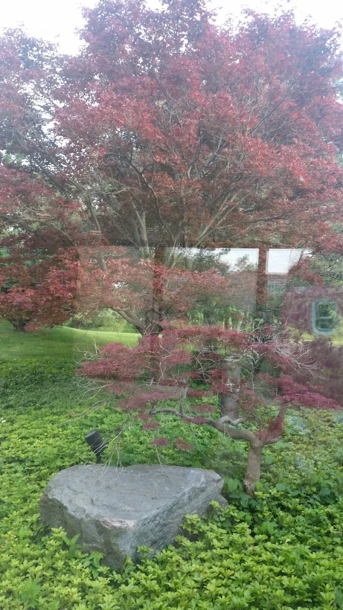 Temple Beth El — foto 7