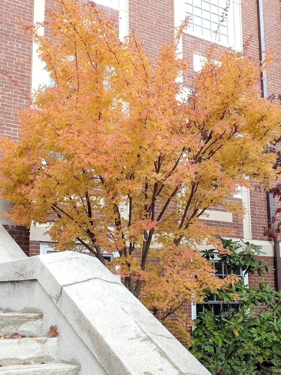 Temple Beth Zion — foto 2