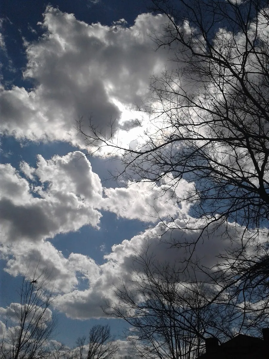 Temple Cemetery de Nashville — foto 5