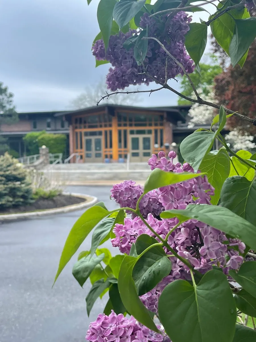 Temple Emanu-El — foto 7