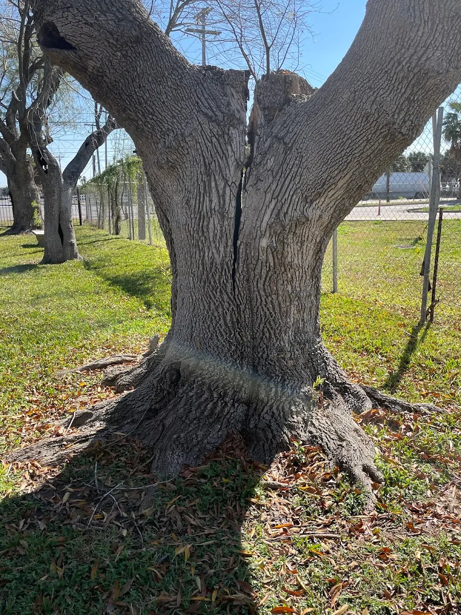 Temple Emmanuel Cemetery — photo 3