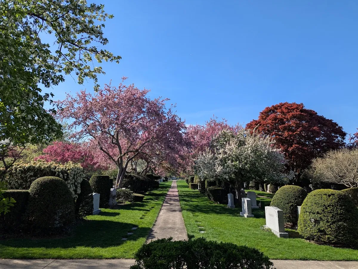 Temple Israel Cemetery