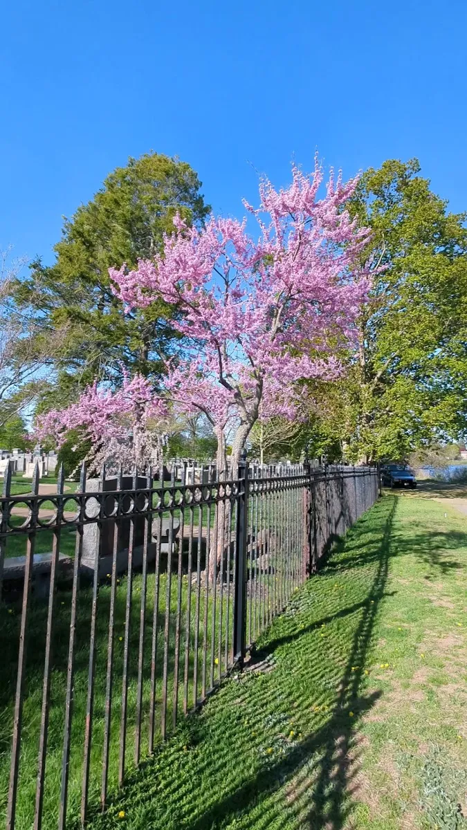 Temple Israel Cemetery — foto 3