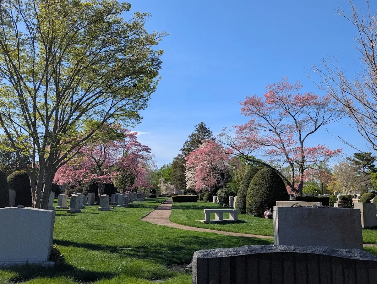Temple Israel Cemetery — foto 7
