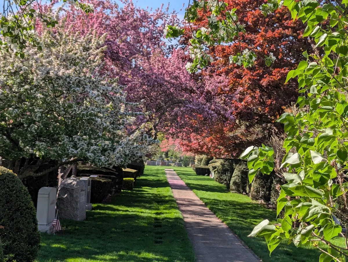Temple Israel Cemetery — foto 8