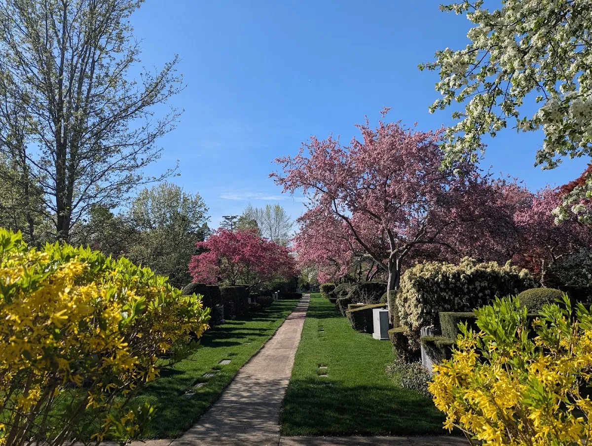 Temple Israel Cemetery — foto 9