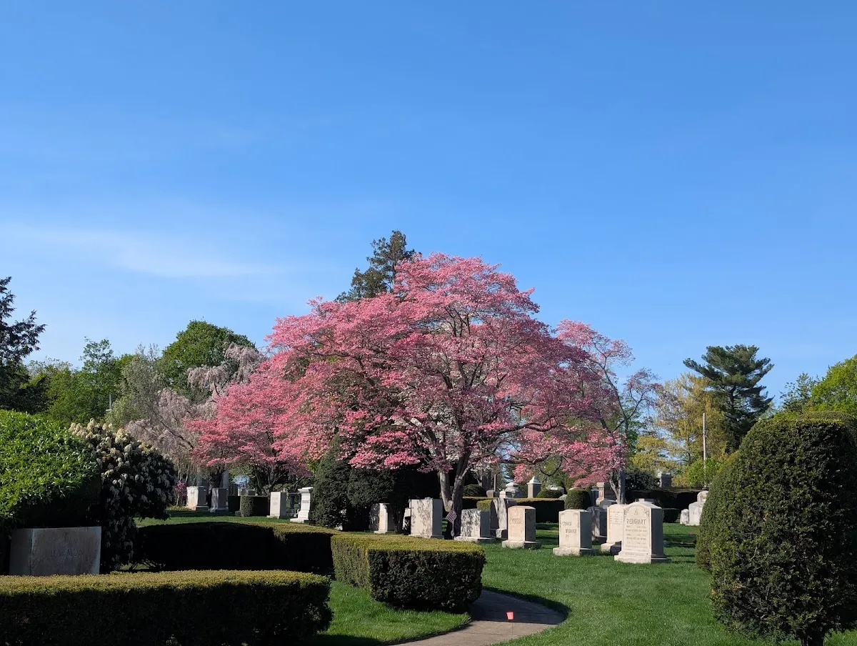 Temple Israel Cemetery — foto 10