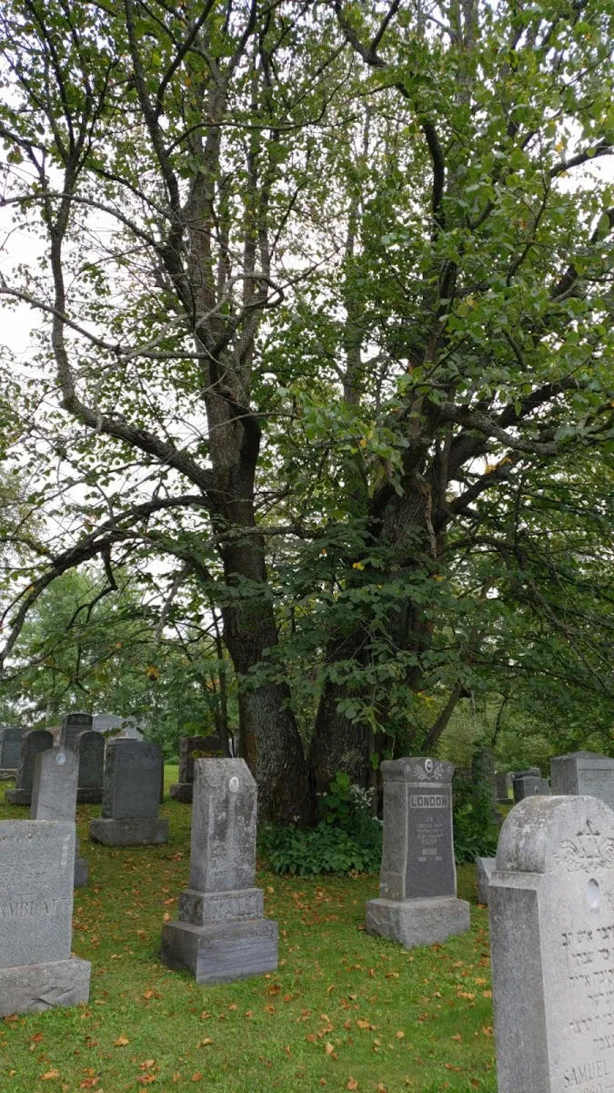 Temple Israel Cemetery / Shaaritzedek Maple Grove Cemetery — foto 3